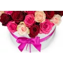 Květinový box růží